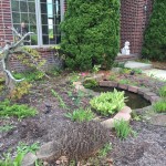 Before - Overgrown Front Bed