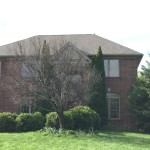 Front Landscape Rejuvenation Post Thumbnail