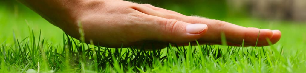 Mower vs. Professional Landscape Provider: What’s Really the Better Deal? Post Thumbnail