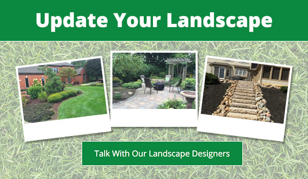 Landscape Designer Ann Arbor