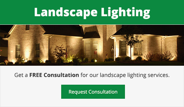 Landscape Lighting Ann Arbor 