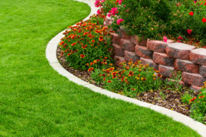 How To Plan Out Your Landscape Design