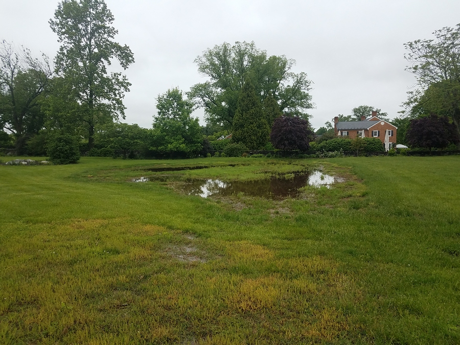 Standing water in the front yard of a residential property.