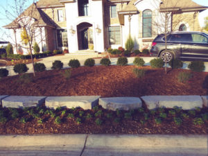 after photos of the landscaped driveway