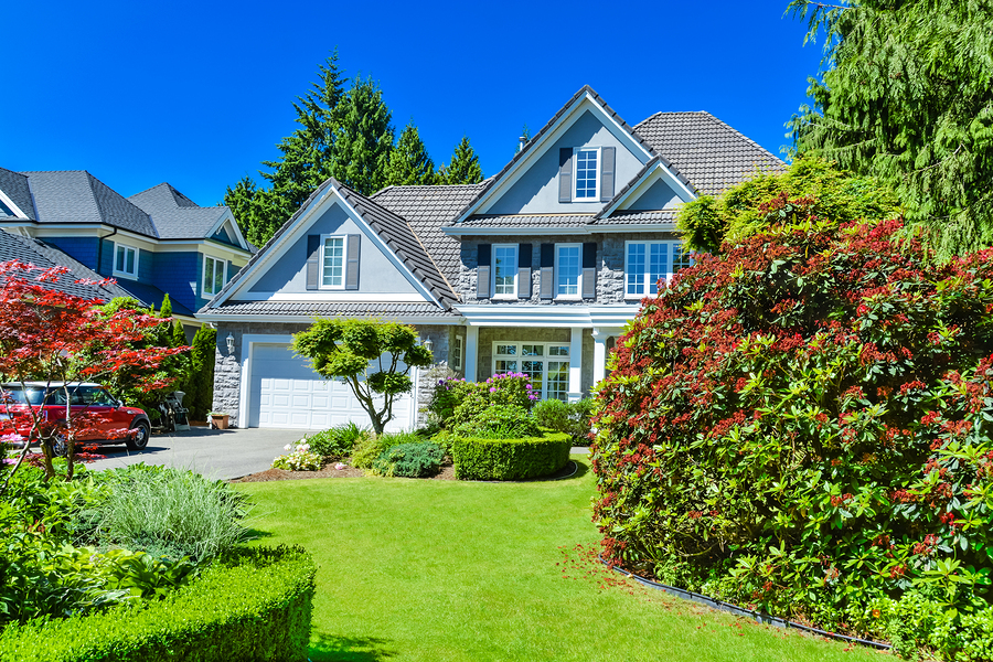 Luxury residential house with green hedge and landscaping in front. Family house surrounded by trees with blue sky background. Suburban house with double garage and car parked on concrete driveway