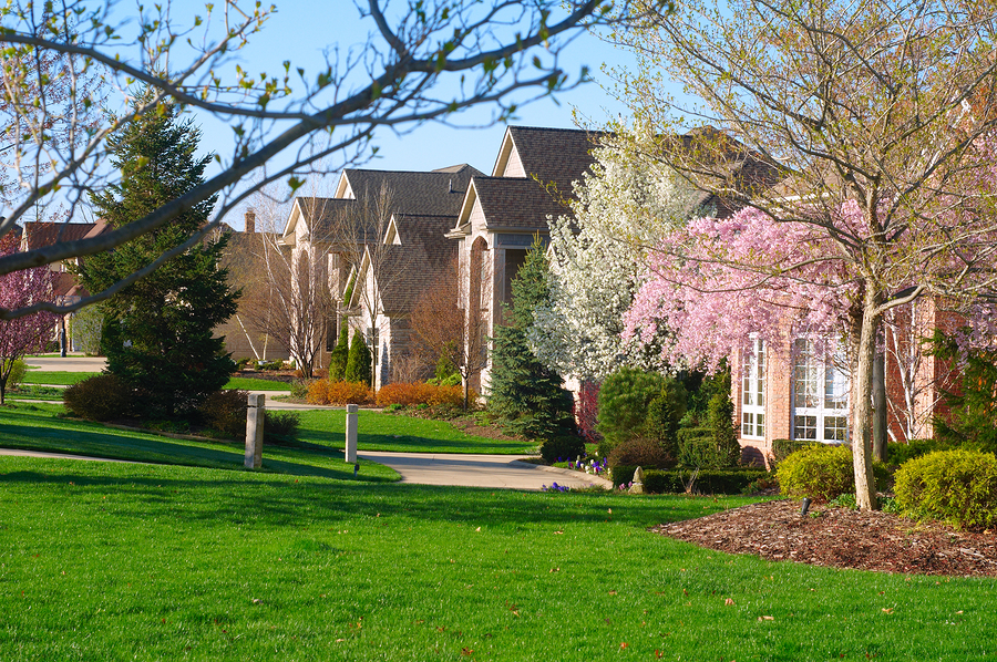 Neighborhood in early spring with flowering trees and budding trees in the front yards.