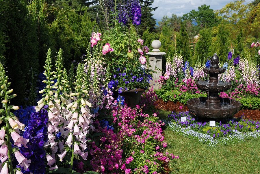 Keep Your Perennials Healthy All Summer Long Post Thumbnail