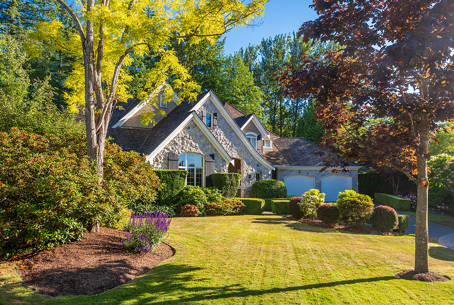 Twin Oaks Horticulturist “Pruning Trees” Featured in HOA Newsletter Post Thumbnail