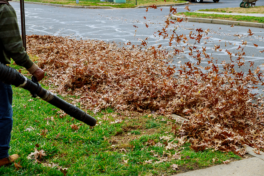 7 Ways to Winterize Your Landscape This Fall Post Thumbnail