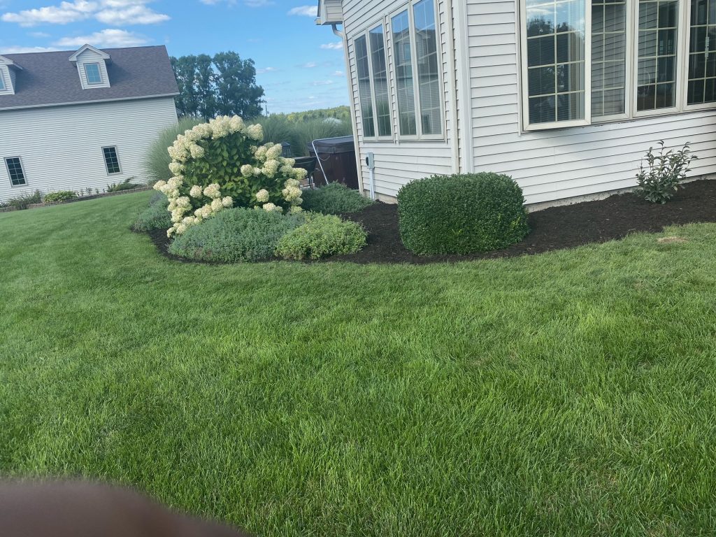 mulching around. a home in ann arbor