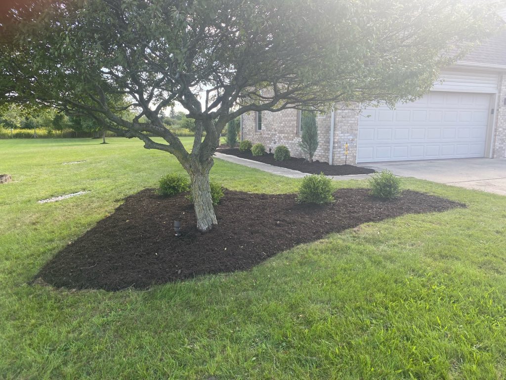 tree mulching done by twin oaks landscape