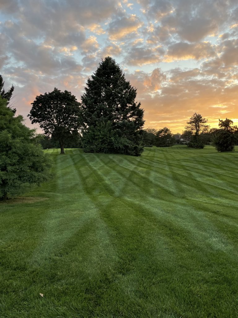 beautiful sunset with freshly mowed lawn in foreground