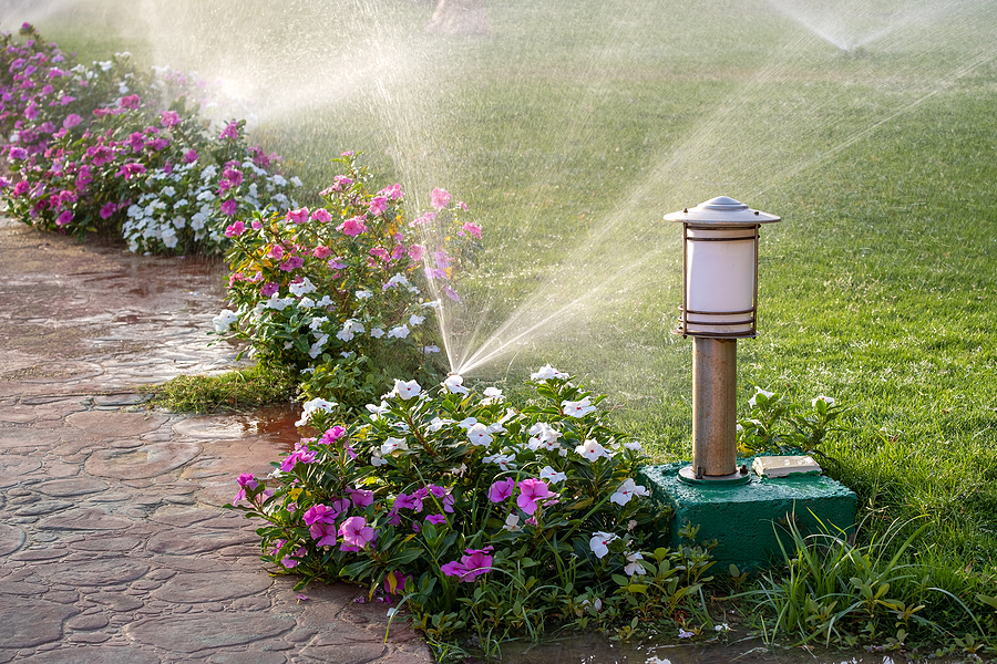 Landscape Designs that Include Sprinkler System Installation Post Thumbnail