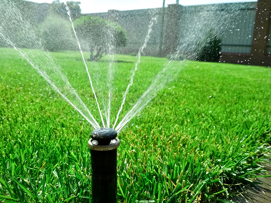 Garden irrigation system lawn. Automatic lawn sprinkler watering green grass.