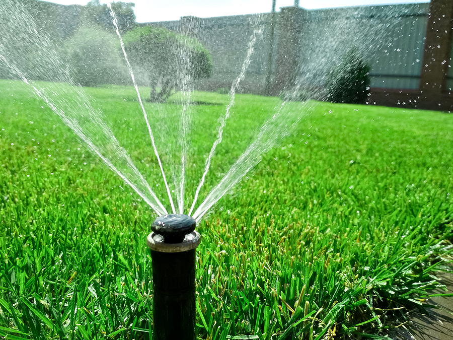 Lawn irrigation system working in a green park. Spraying the lawn with  water in hot weather. Automatic sprinkler. The automatic watering sprinkler  head watering the lawn. Smart garden. 18726157 Stock Video at