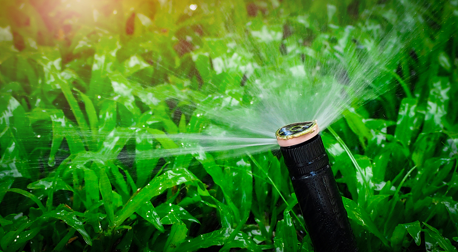 A Lawn Sprinkler System Does More than Just Water Your Grass Post Thumbnail