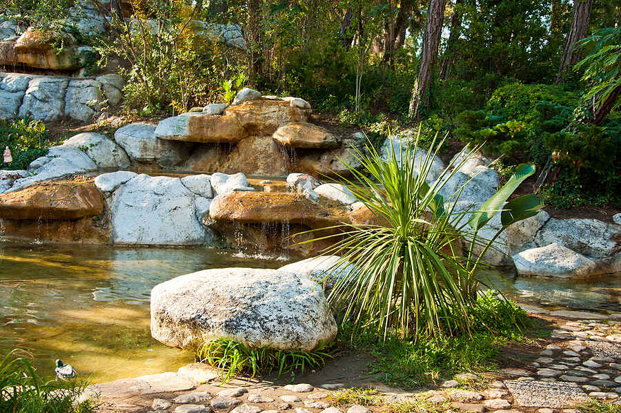 Tropical Landscape design in garden. View of small pond, large stones and waterfall