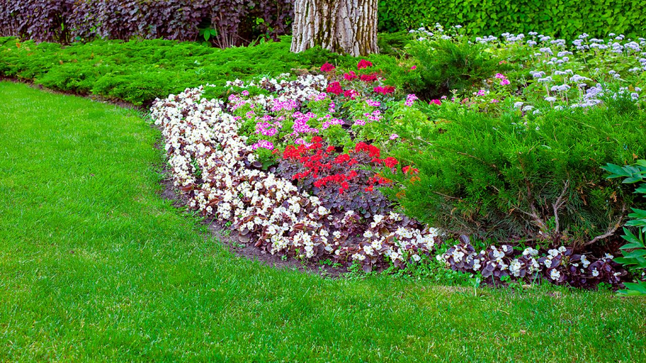Lawn Care