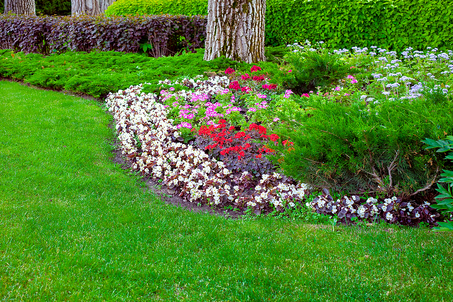Lush green grass and professionally designed and maintained landscape.