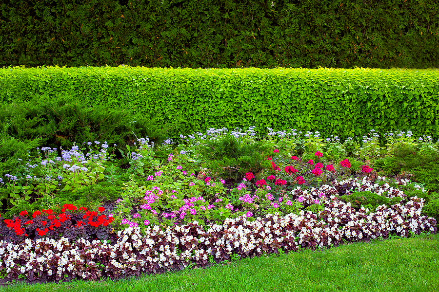 Green lush lawn bordered with a perennial flower bed.
