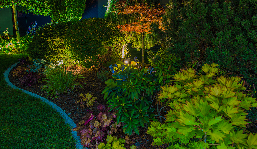 Illuminated by LED Lights Residential Backyard Rock Garden with Mature Plants.