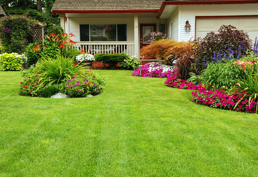 Benefits of Planning Ahead for Landscape Maintenance Services Post Thumbnail
