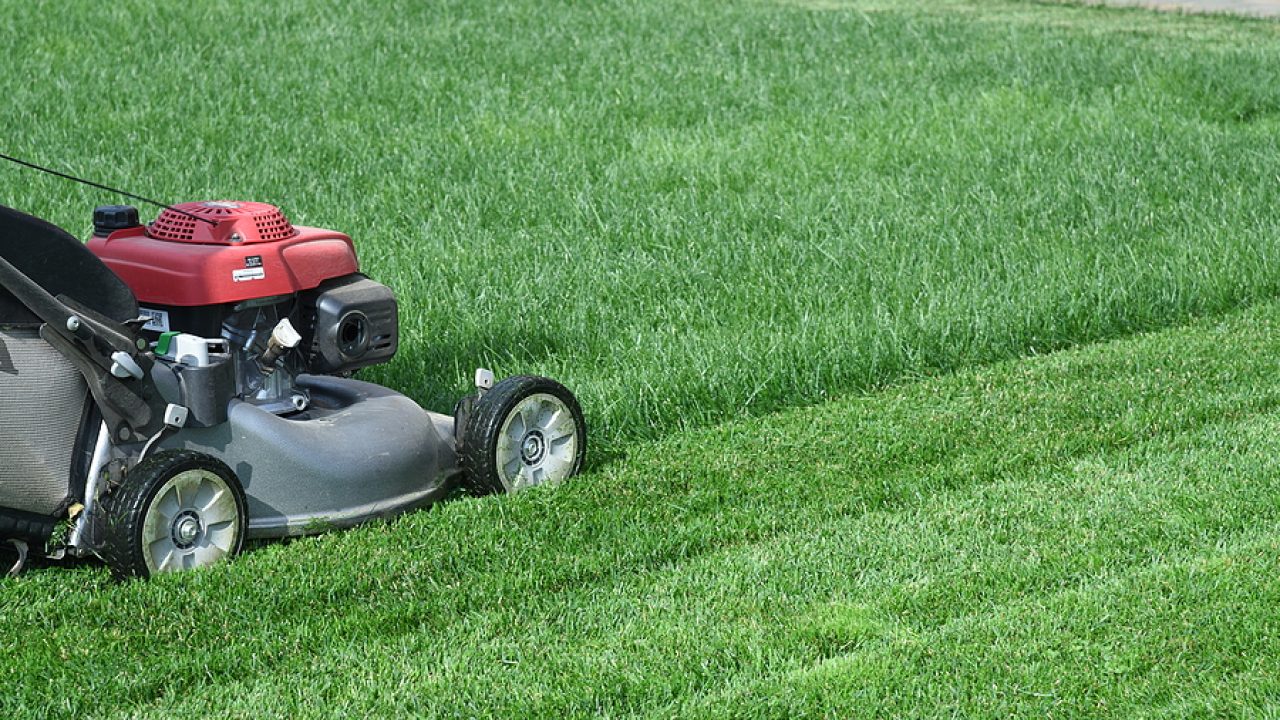 Lawn keeping deals