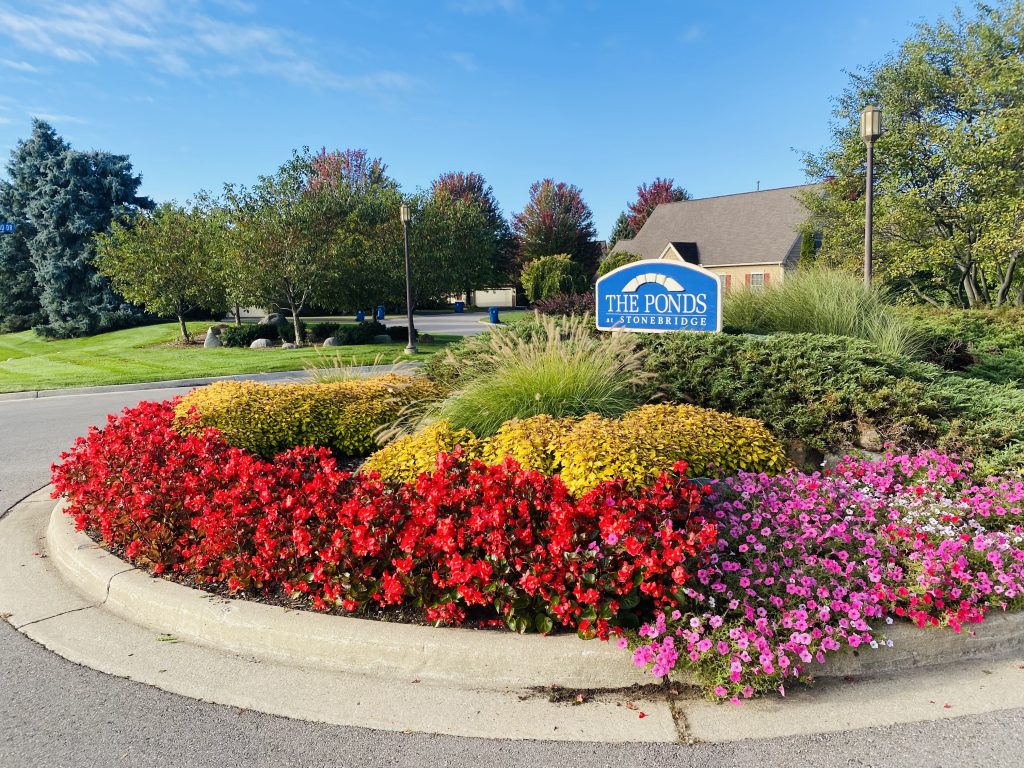 Commercial-landscape-Maintenace-of-the-flower-bed-in-a-common-area