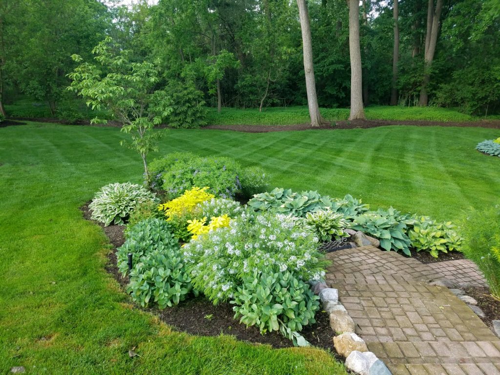 Maintained-landscape-beds