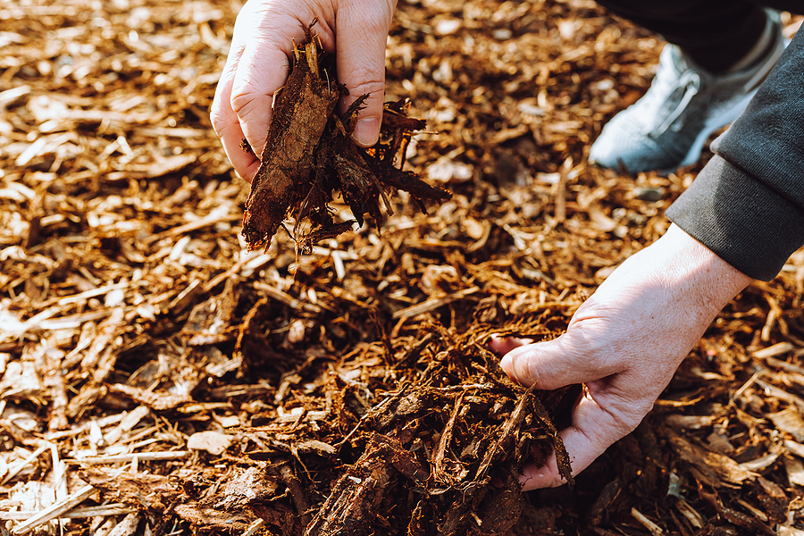 The Power of Mulch: How Proper Mulching Benefits Your Landscape Post Thumbnail
