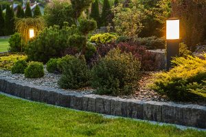 Beautiful backyard landscaping with lush green trees and shrubs. 