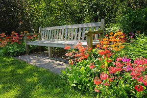 Wooden bench surrounded by bright spring flowers and green grass 