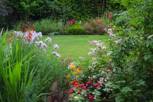 View of a lush backyard garden lawn surrounded by colorful flowers.