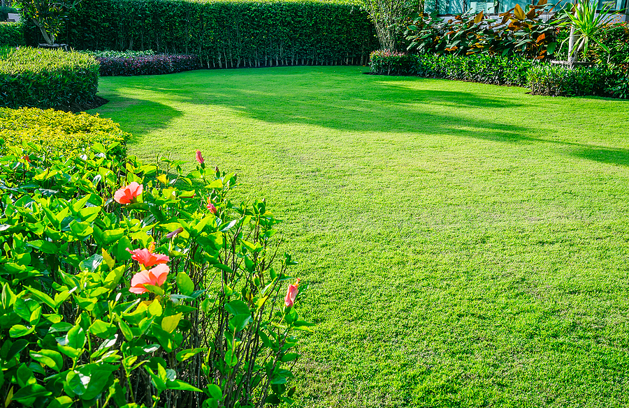Professionally landscaped and well-maintained yard with green grass, flowers and shrubs. 