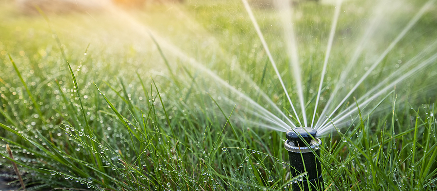 Close up of an automatic sprinkler system watering a yard. 