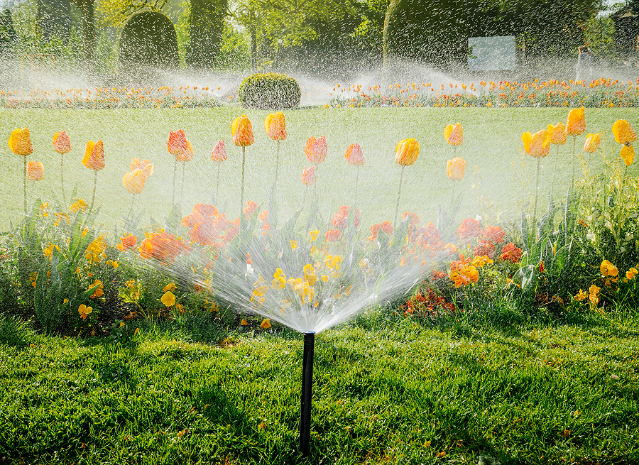 Beautiful healthy green yard with colorful tulips being watered by an automatic sprinkler system. 