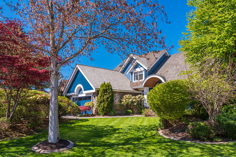 Blue house with a beautifully well-maintained yard. 