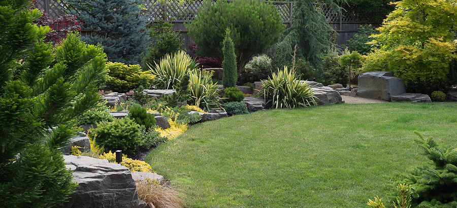 Professionally landscaped backyard. 