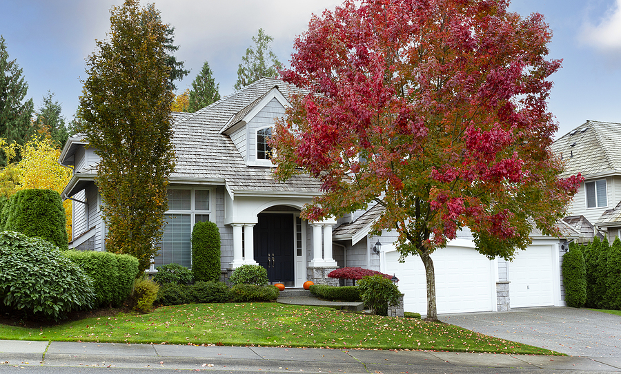 Modern two story home with a landscaped front yard with fall colored leaves on the trees. 