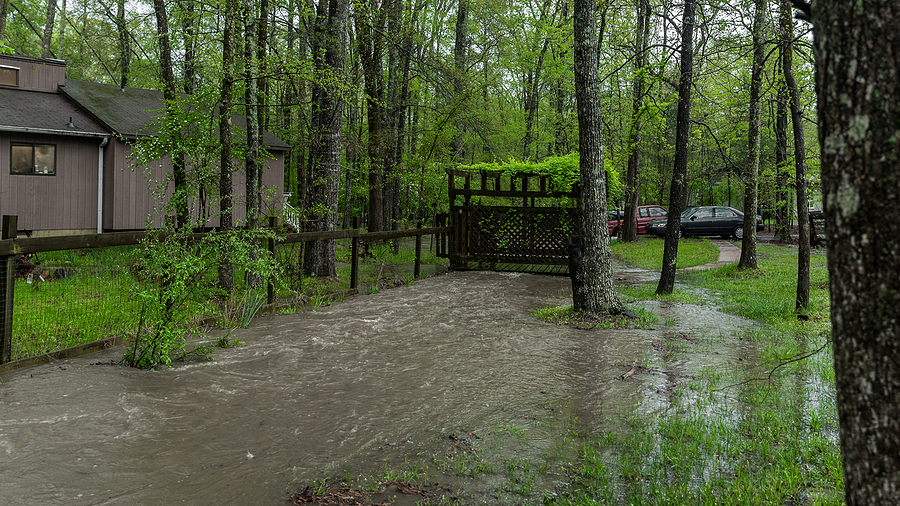 Flooded yard in a heavily wooded area. 