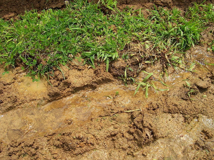 Winter Warning Signs Your Yard Has a Drainage Problem Post Thumbnail