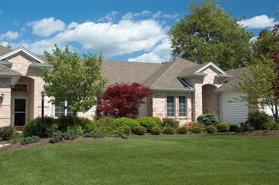 Why a “Spring Cleanup” Is Never Enough for a Healthy Landscape Post Thumbnail