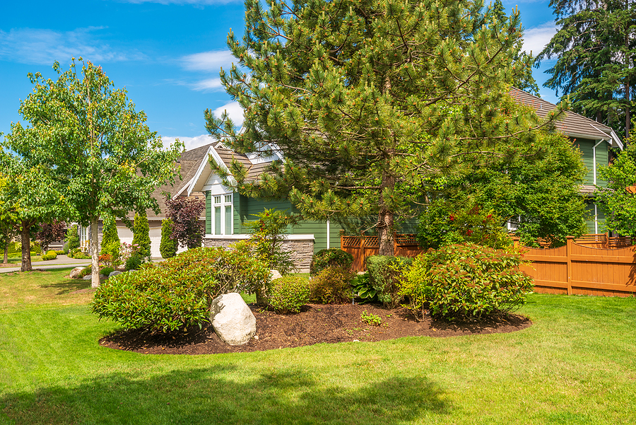 Spring Landscaping Mistakes That Cost Homeowners Time and Money Post Thumbnail