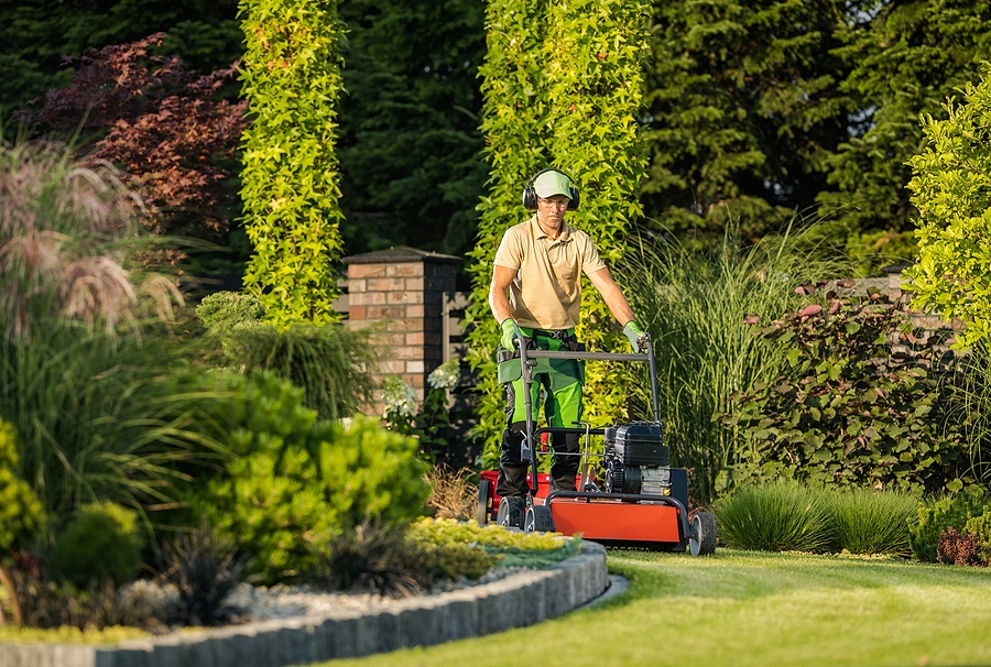 Does Your Yard Feel Like Too Much Work? Post Thumbnail