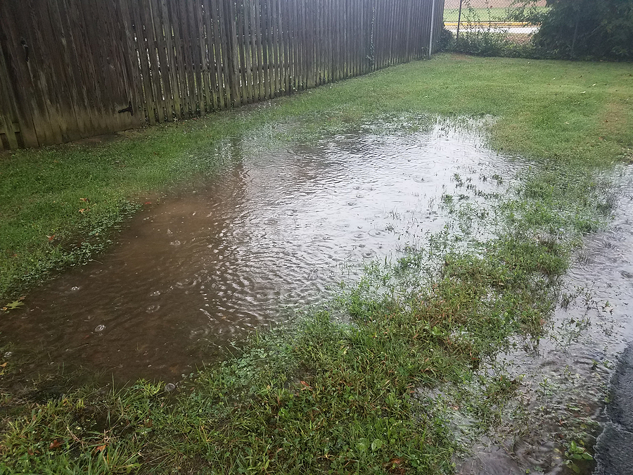 Getting to the Bottom of Why Your Yard Is Always Flooding Post Thumbnail