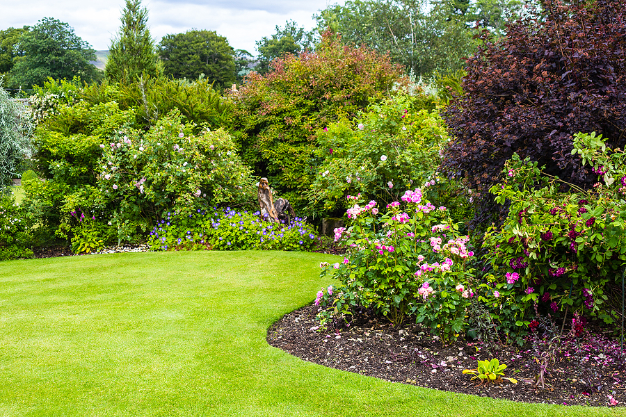 Reactive vs Proactive Landscape Maintenance Post Thumbnail