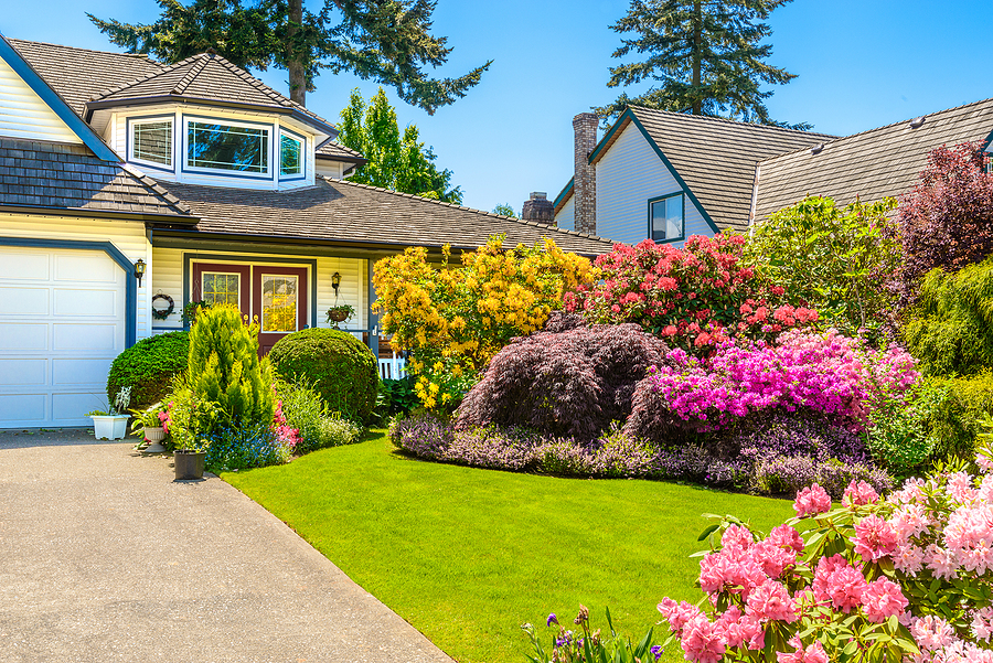 Stop Maintaining Your Yard and Start Enjoying It Post Thumbnail