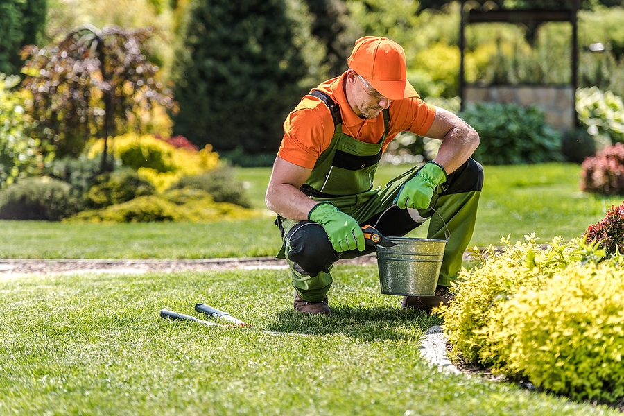 Is Poor Landscape Maintenance Hurting Your Property Value? Post Thumbnail