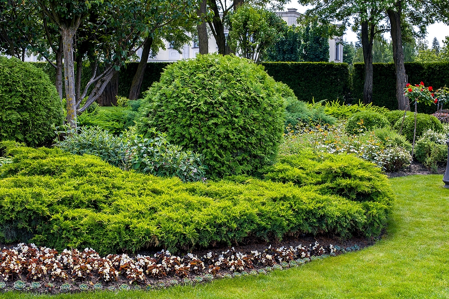 The Difference Between Lawn Service and Landscape Management Post Thumbnail