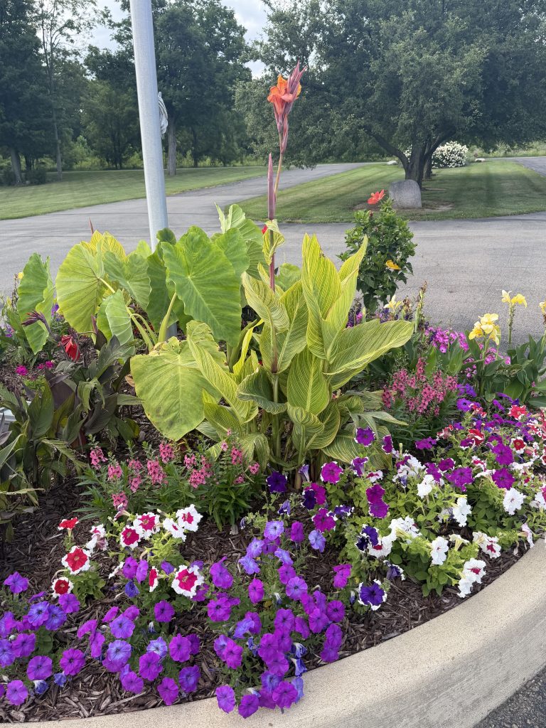 Twin Oaks Project: Purple flowers in Rotunda planter Detail